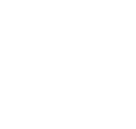 Cổng Pay W88